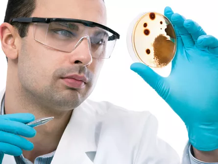 Égető probléma a Clostridium difficile-fertőzés