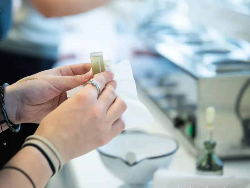 Labortól a hivatásig: a GYTK-n jártak a jövő egészségügyi szakemberei
