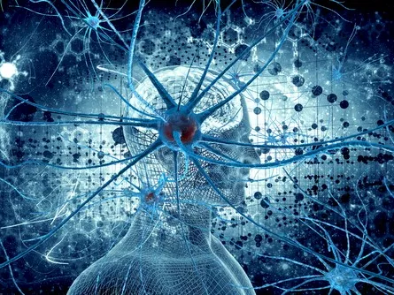 Rombol vagy épít az antidepresszáns?