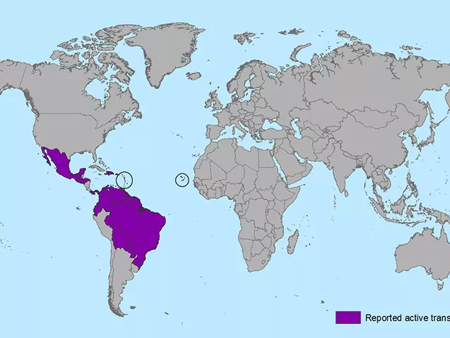 Zika-vírus: hasznos információk turistáknak