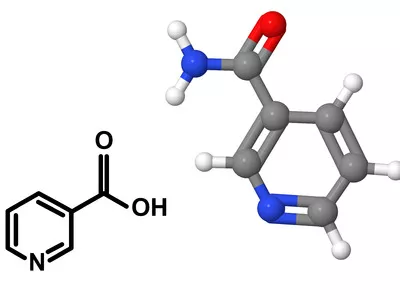A B-vitaminok csökkenthetik a szállópor okozta DNS-károsodást