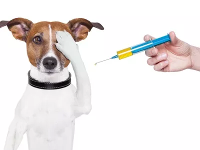 Oltás helyett influenza-elleni mikrotűs tapasz