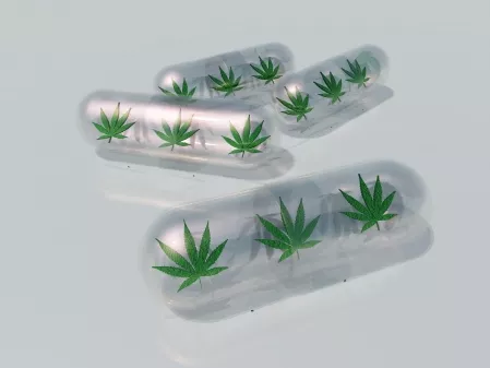 Kannabisz-stratégiát sürgetnek