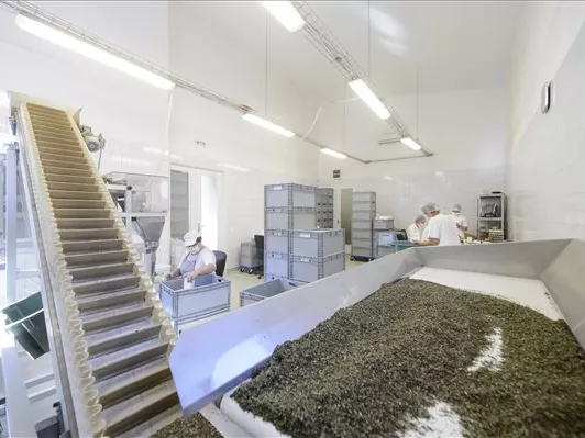 Új gyártóegységet épít a Pharmaherb Bükkszentkereszten