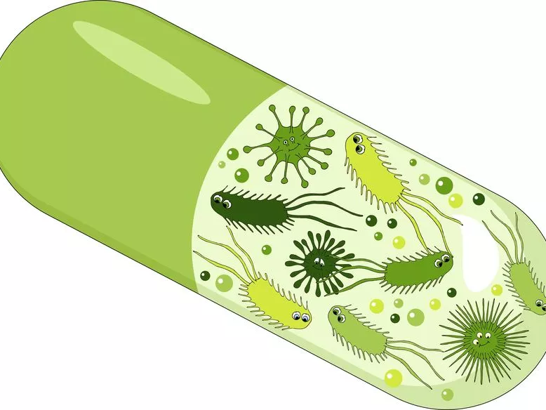 Őssejtterápia után kedvező hatású a széklet mikrobiom transzplantáció