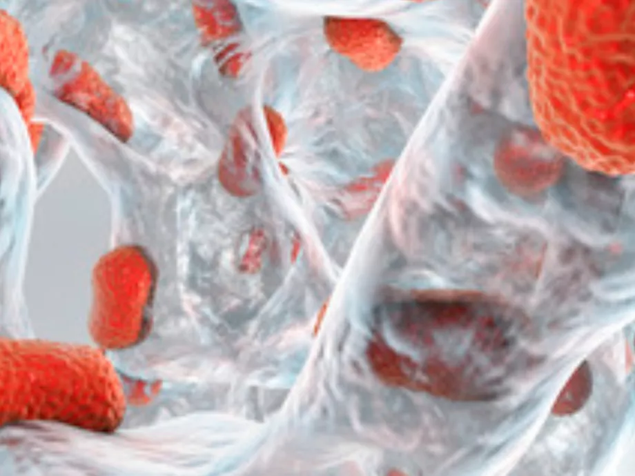 Egy lépéssel közelebb az antibiotikum-rezisztencia legyőzéséhez
