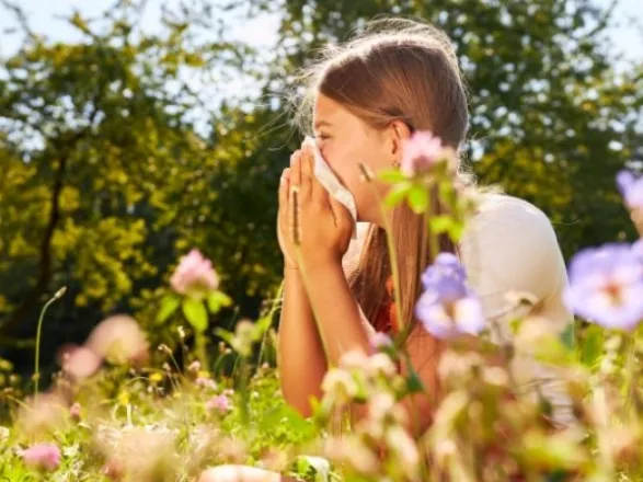Az egész éven át tartó allergiás rhinitis és gyógyszeres kezelése