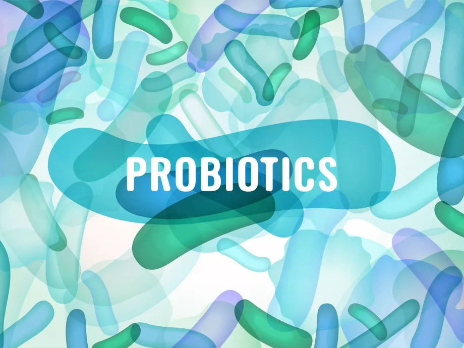 A probiotikumok megválasztásának szempontjai az akut gastroenteritis kezelésében és az antibiotikum asszociált hasmenés megelőzésében