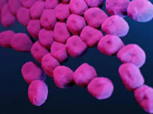 A klinikai tesztek utolsó fázisába ért a szuperbaktérium ellen fejlesztett antibiotikum