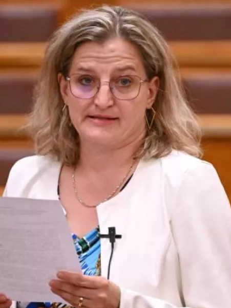 Porpáczy Krisztina: Őszre ledolgozzák a lemaradást a BSLA-nál (Frissítve!)