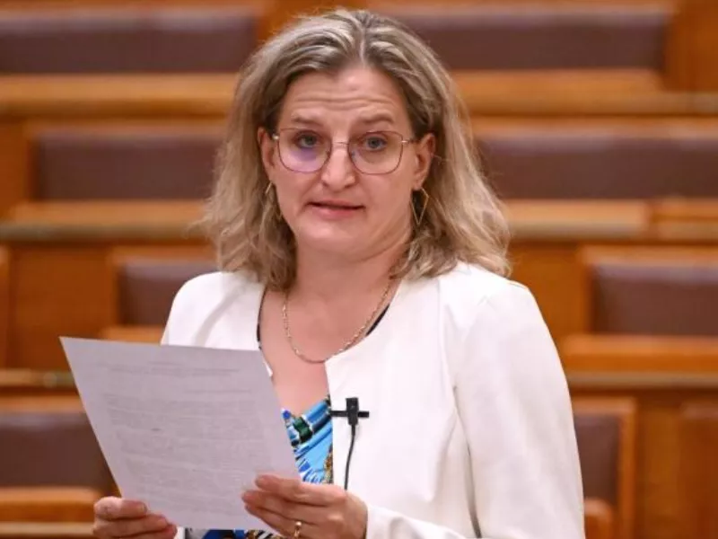 Porpáczy Krisztina: Őszre ledolgozzák a lemaradást a BSLA-nál