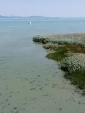 Gyógyszermaradványok és vegyszerek is terhelik a Balatont