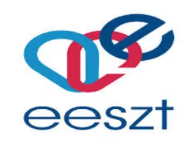 EESZT-leállás: vészforgatókönyvet kell készíteni