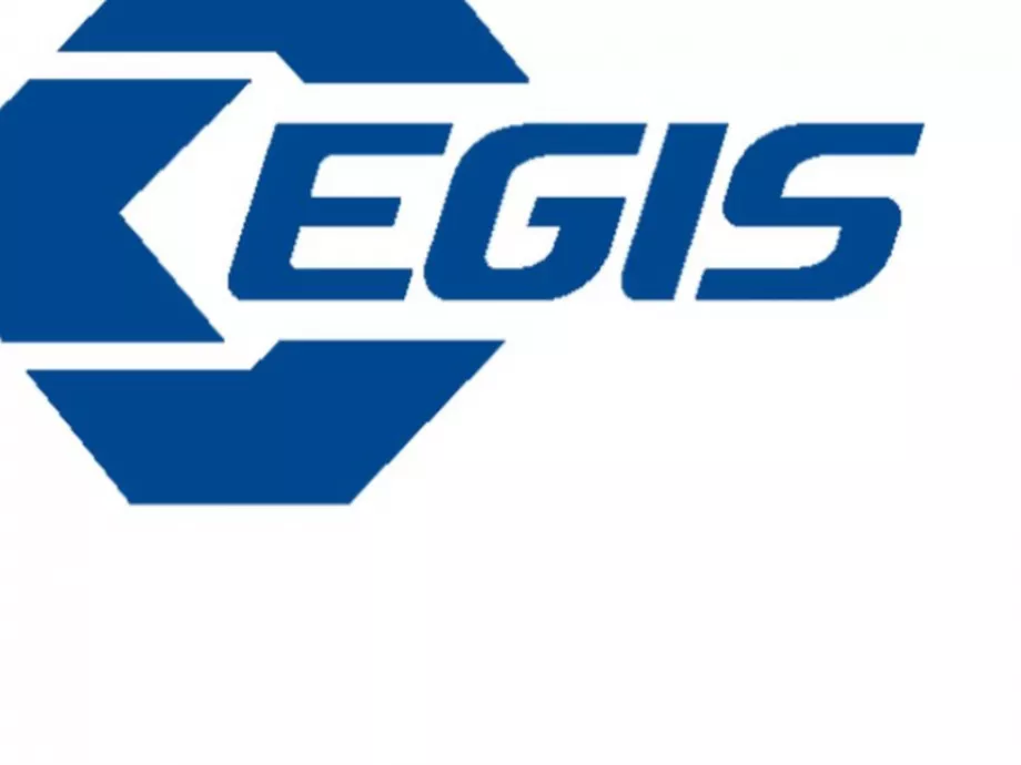 Együttműködési megállapodást kötött az Egis az üzbég gyógyszerhatósággal
