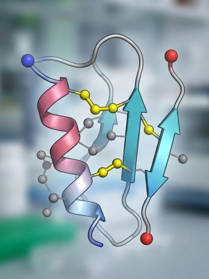 Áttörés a miniprotein-alapú gyógyszerfejlesztésben