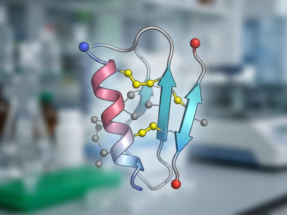 Áttörés a miniprotein-alapú gyógyszerfejlesztésben