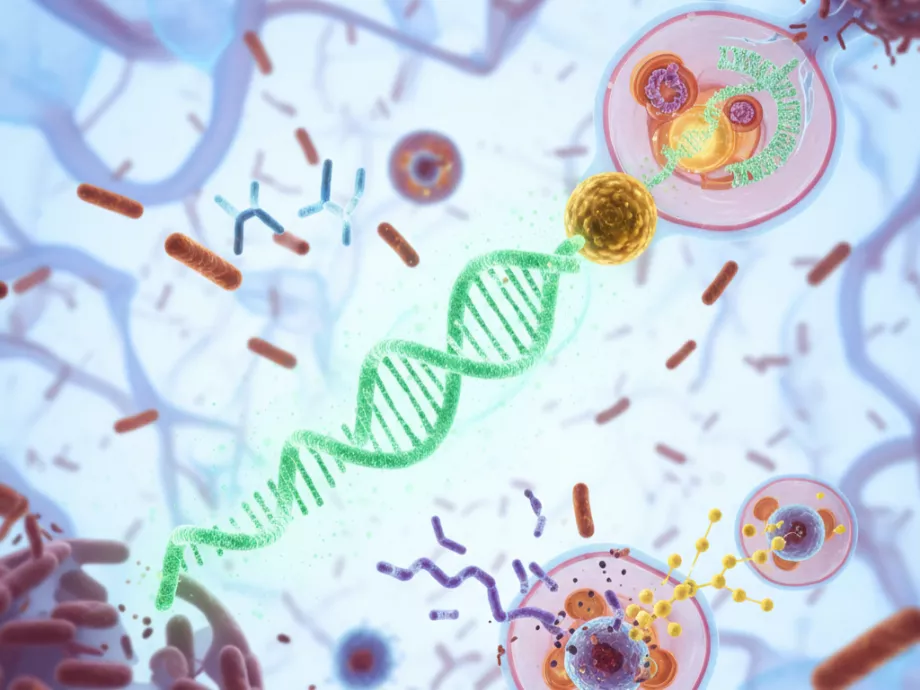 Antibiotikum-rezisztens baktériumok ellen is bevethető lehet egy új mRNS-alapú terápia?