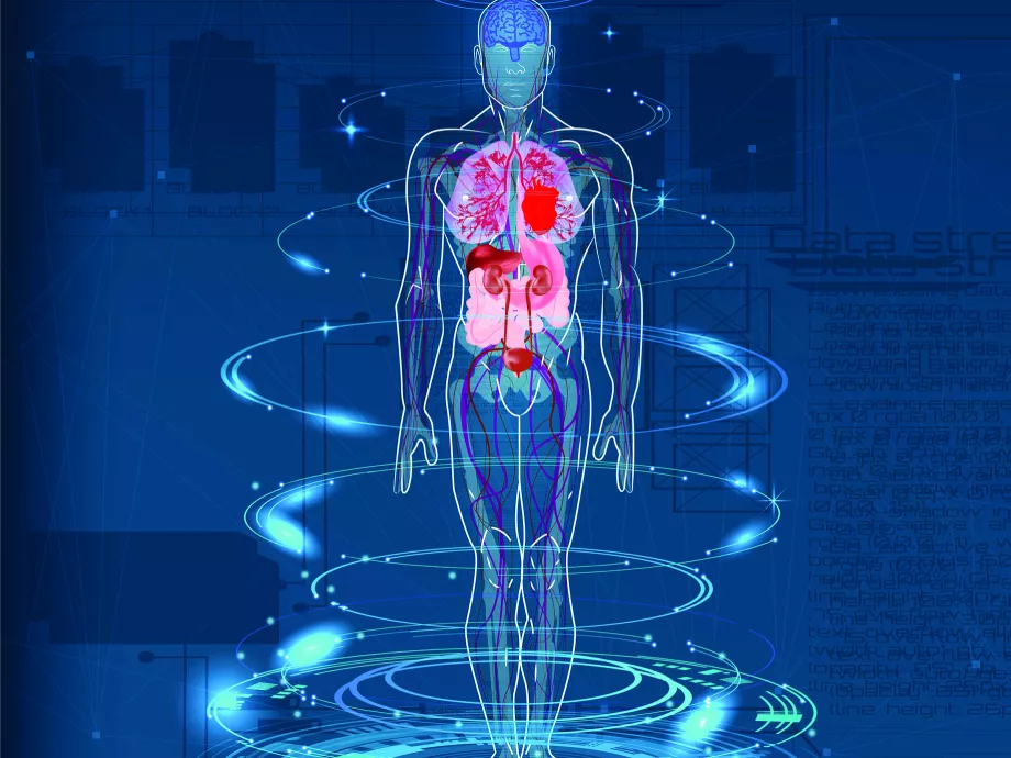 Kardiovaszkuláris-vese-metabolikus szindróma és a kezelés fejlődése