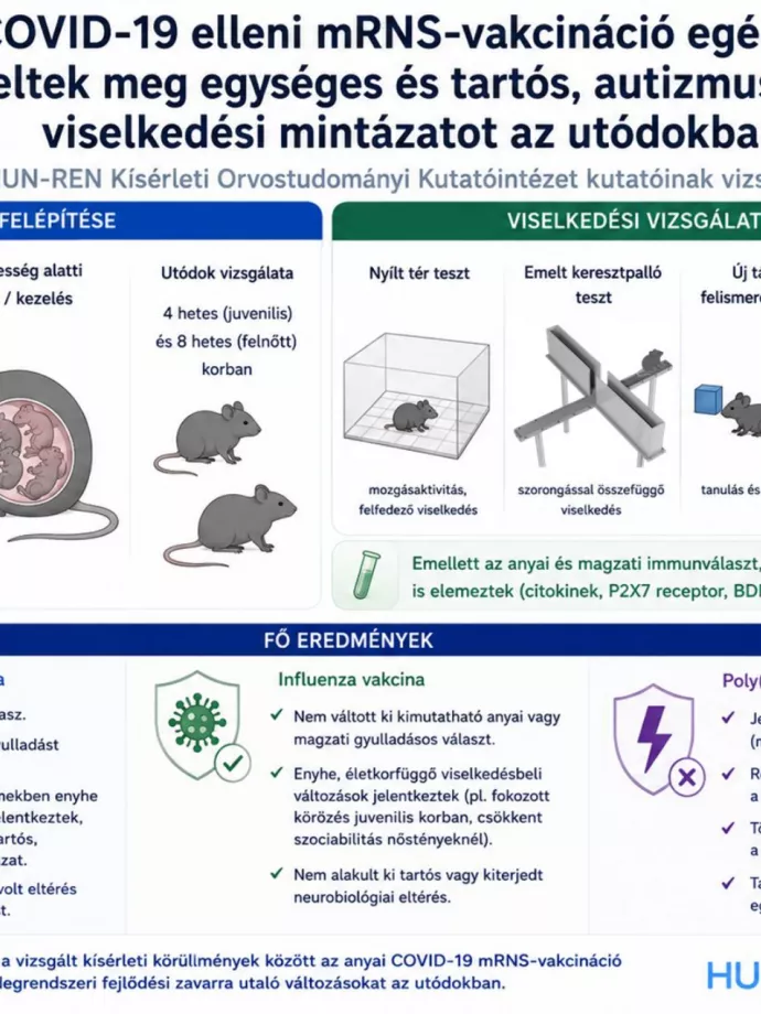 Várandósság alatt is érdemes felvenni a védőoltásokat!