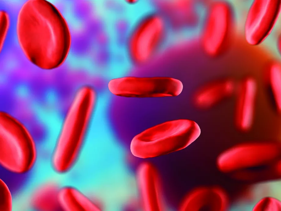 Kétségessé vált a Bayer legígéretesebb fejlesztési projektje
